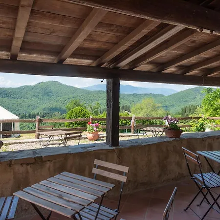 Universal Harmony - Pettirosso * Dicomano