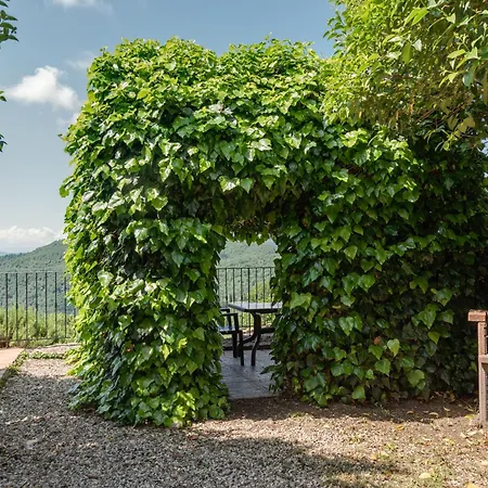 Universal Harmony - Pettirosso *