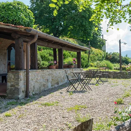 Universal Harmony - Pettirosso * Dicomano