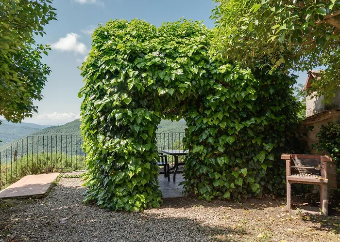 Universal Harmony - Pettirosso *