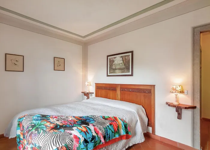 Universal Harmony - Pettirosso Dicomano