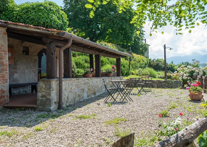 Universal Harmony - Pettirosso * Dicomano