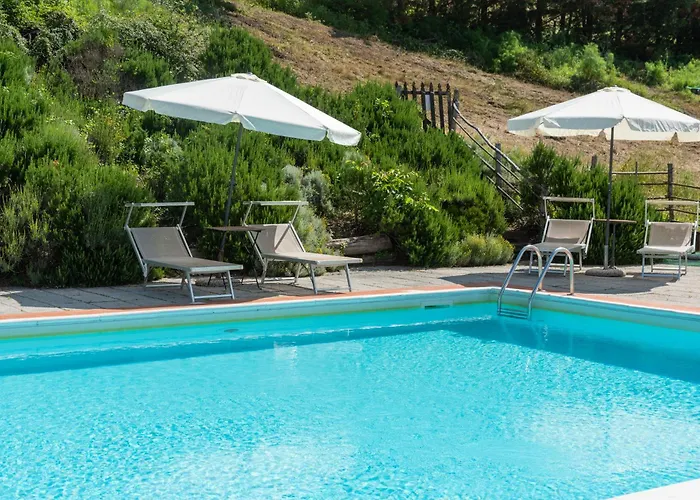 Universal Harmony - Pettirosso