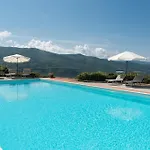 Universal Harmony - Pettirosso Dicomano
